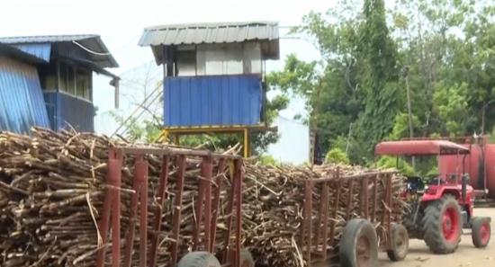 Sevanagala Worker Averts Major Production Halt